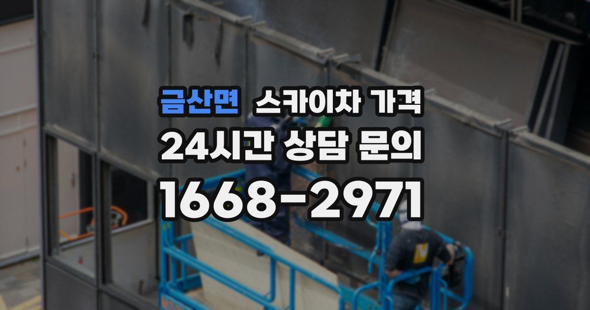 금산면 스카이차 가격