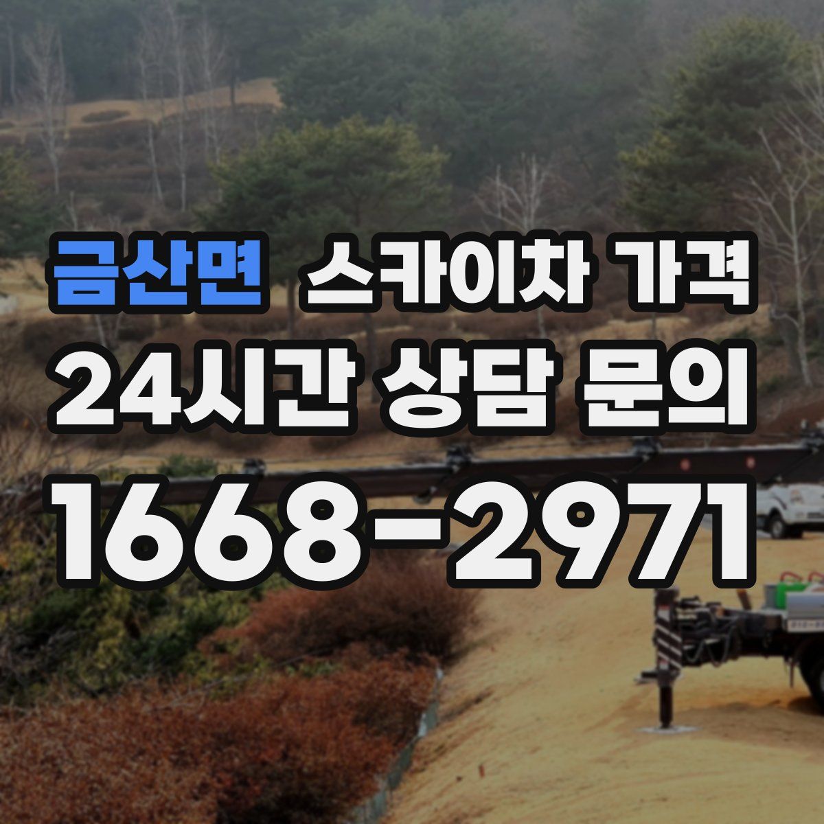 금산면 스카이차 가격