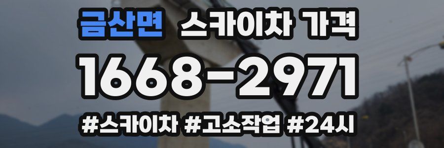 금산면 스카이차 가격