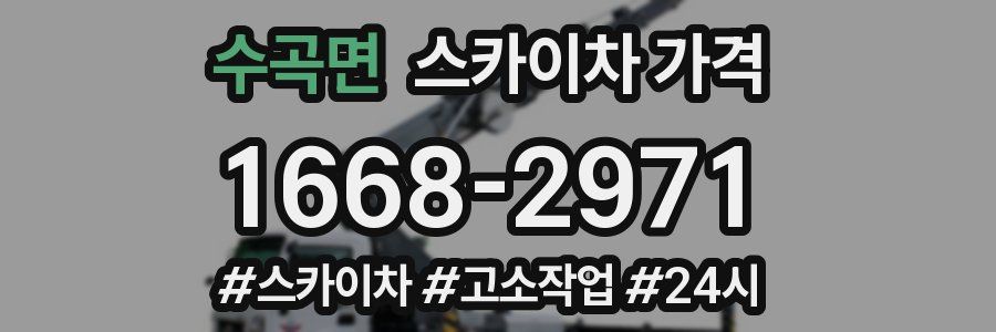 수곡면 스카이차 가격