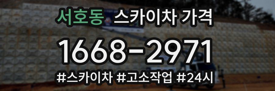 서호동 스카이차 가격