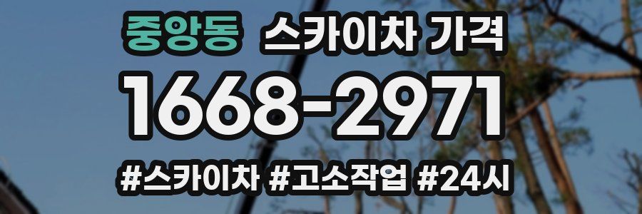 중앙동 스카이차 가격