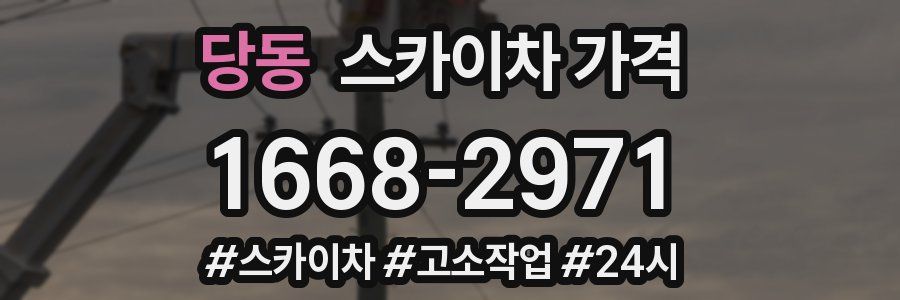 당동 스카이차 가격