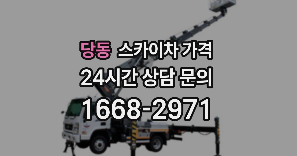 당동 스카이차 가격