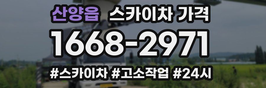 산양읍 스카이차 가격