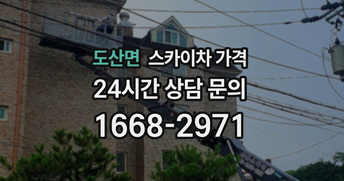 도산면 스카이차 가격