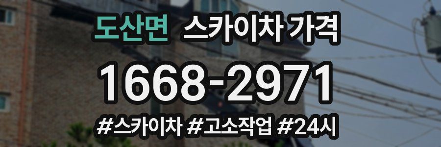 도산면 스카이차 가격