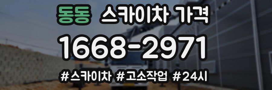 동동 스카이차 가격