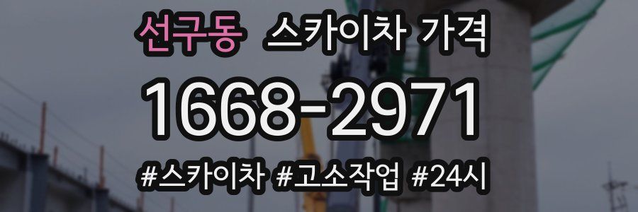 선구동 스카이차 가격