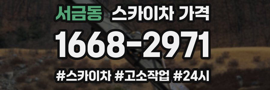 서금동 스카이차 가격