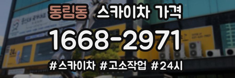 동림동 스카이차 가격