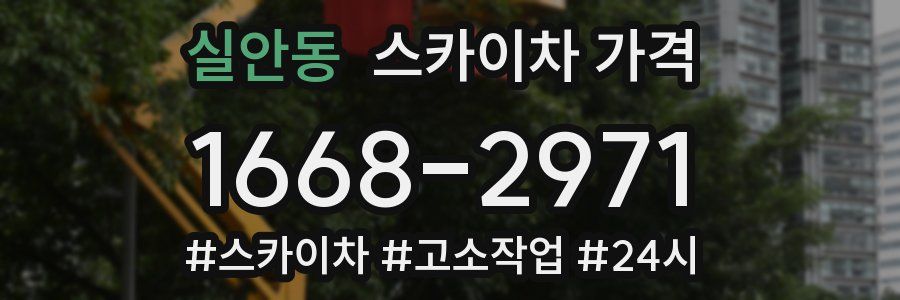 실안동 스카이차 가격