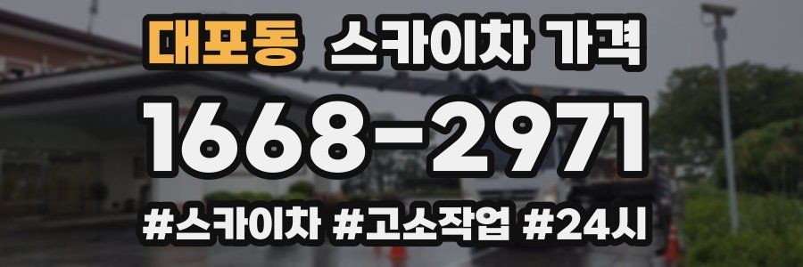 대포동 스카이차 가격