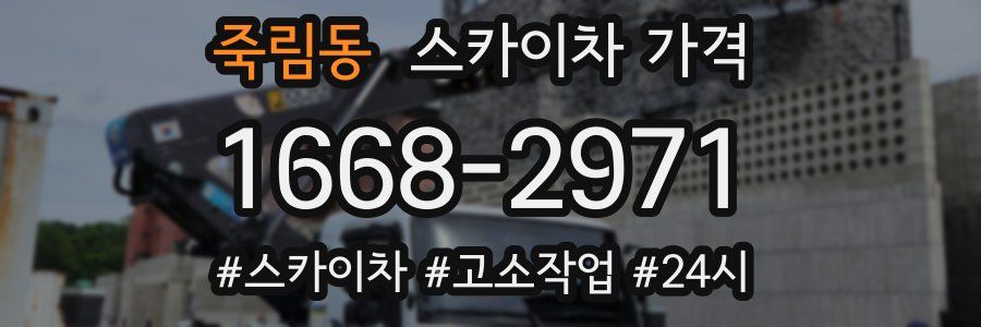 죽림동 스카이차 가격