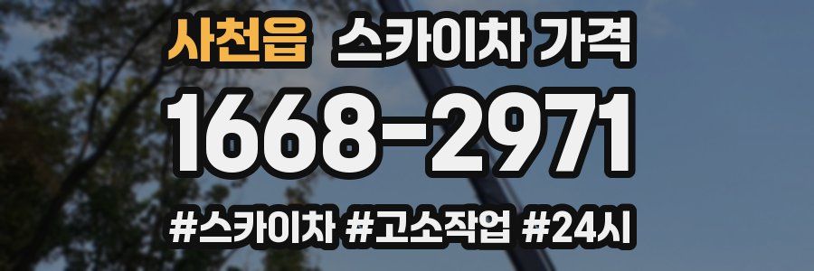 사천읍 스카이차 가격