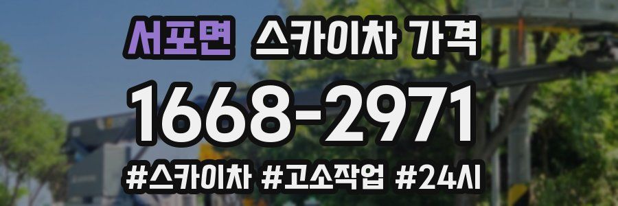 서포면 스카이차 가격