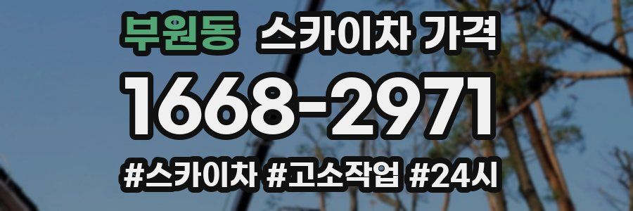 부원동 스카이차 가격