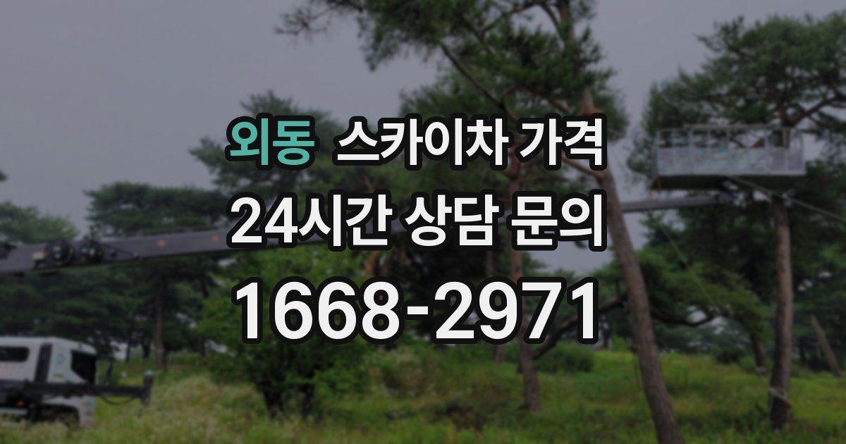 외동 스카이차 가격