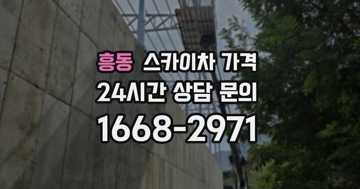 흥동 스카이차 가격