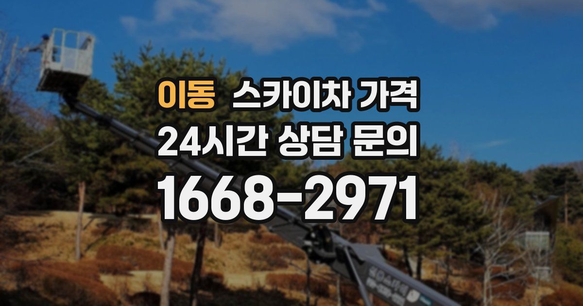 이동 스카이차 가격