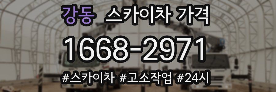 강동 스카이차 가격