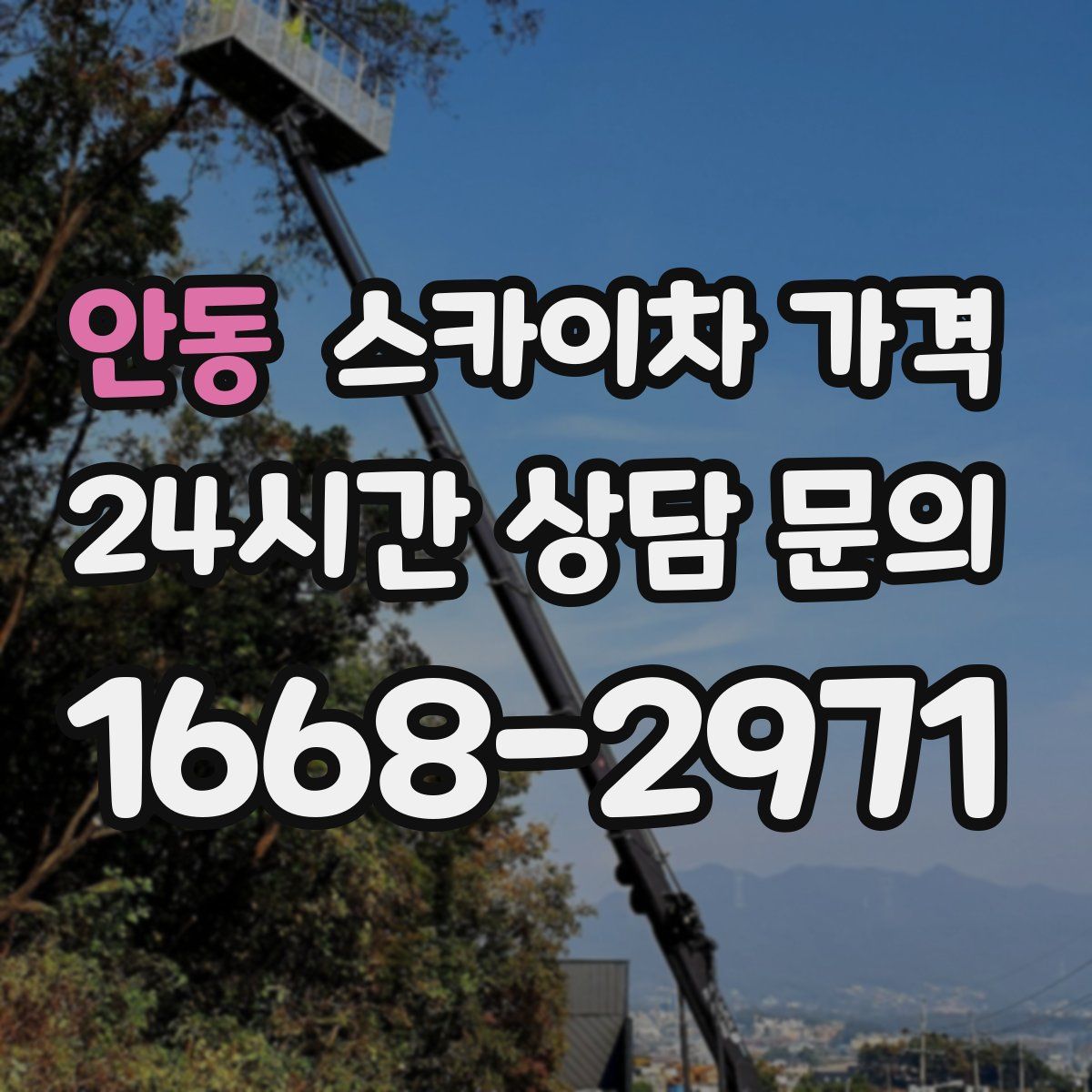 안동 스카이차 가격