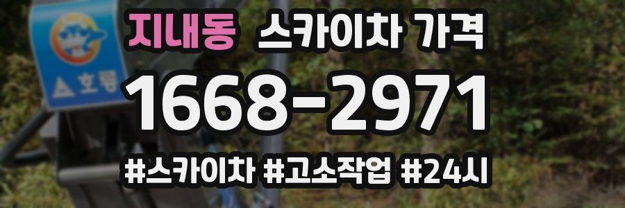 지내동 스카이차 가격