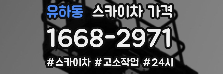 유하동 스카이차 가격