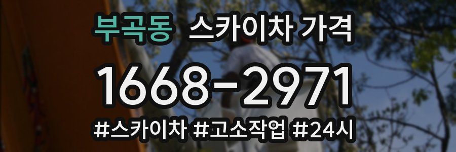 부곡동 스카이차 가격