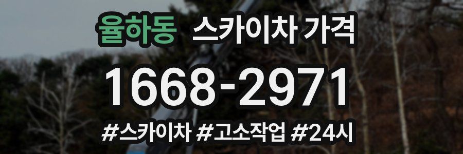 율하동 스카이차 가격