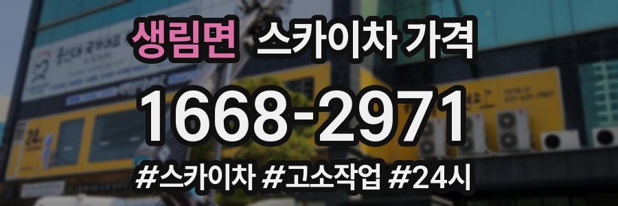 생림면 스카이차 가격