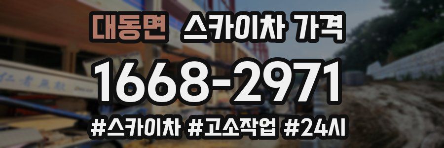 대동면 스카이차 가격