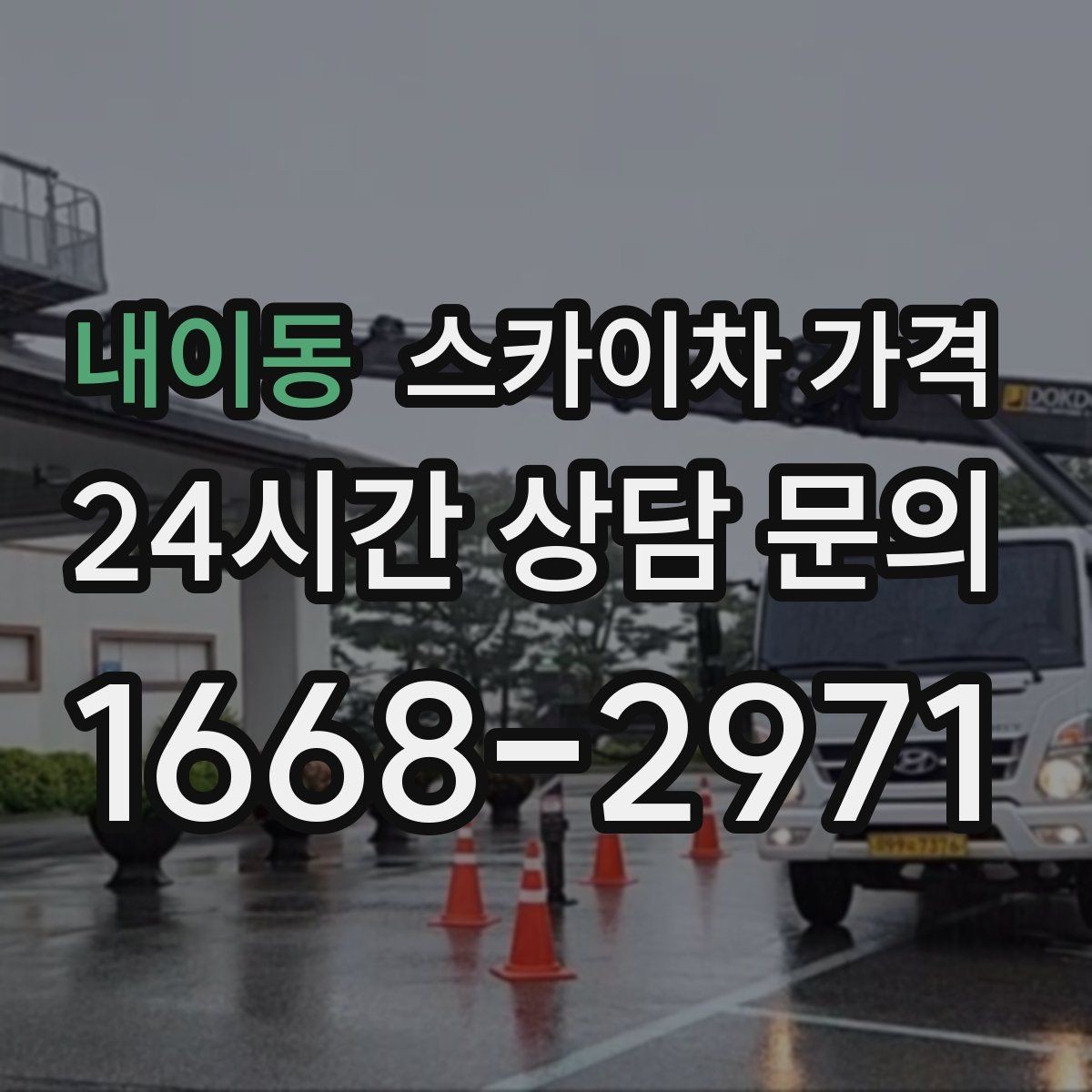 내이동 스카이차 가격 나무 전지 작업은 가지 위치가 변수가 됩니다