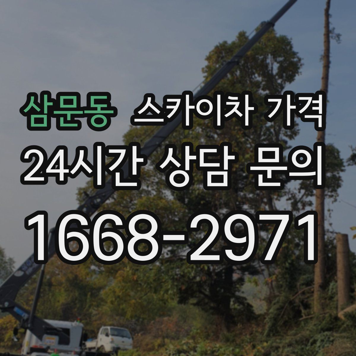 삼문동 스카이차 가격