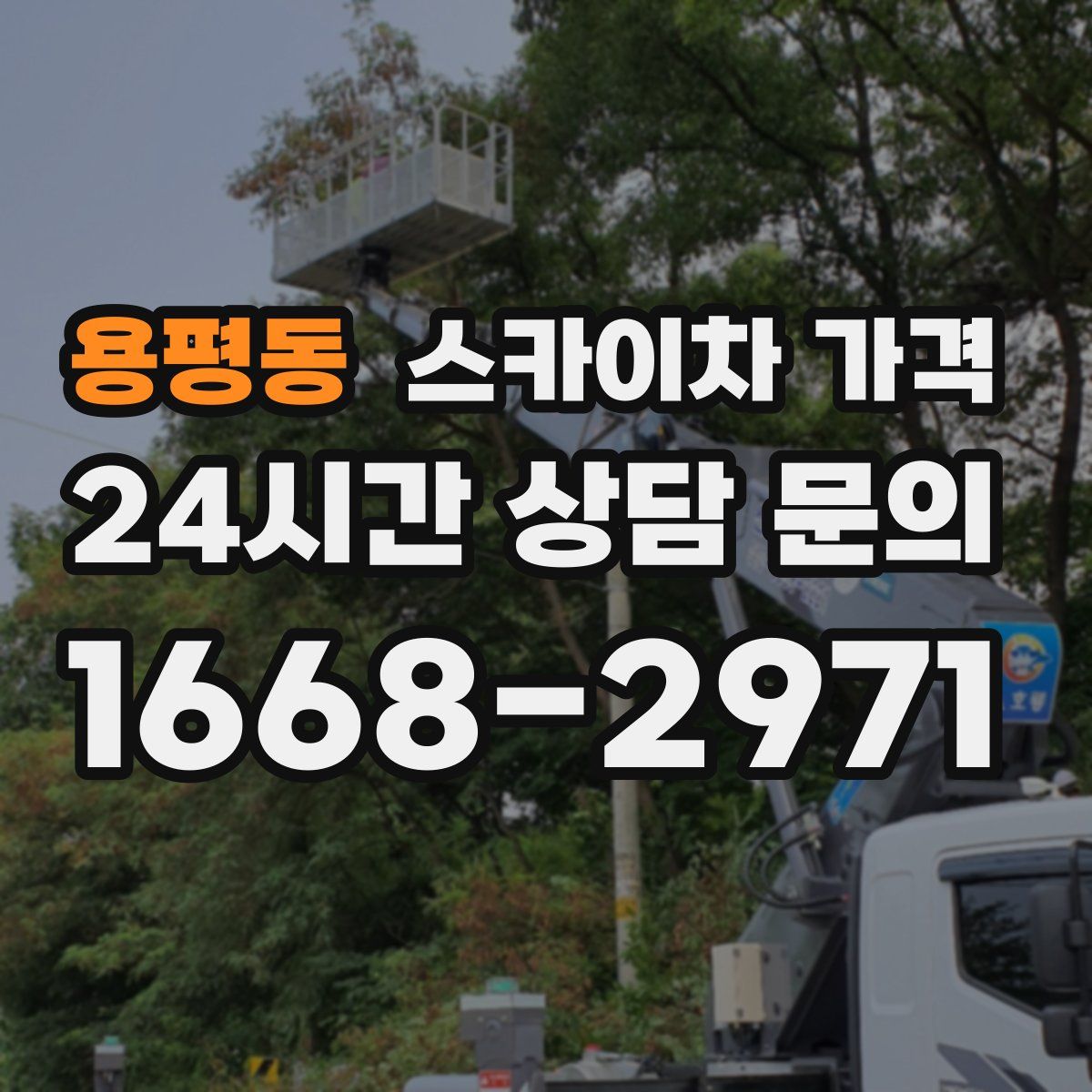 용평동 스카이차 가격