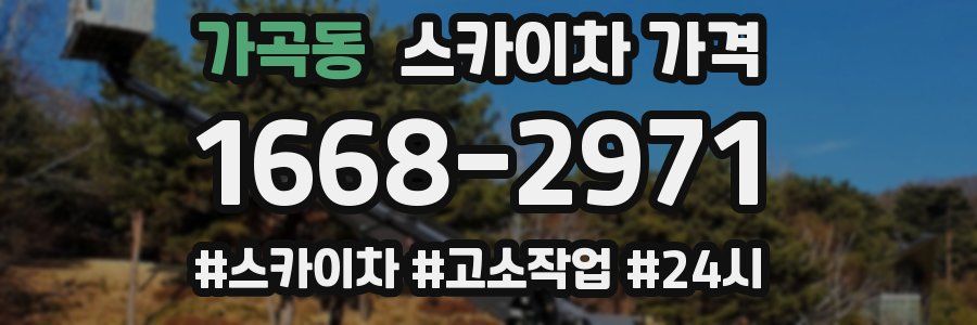 가곡동 스카이차 가격