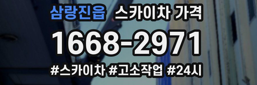 삼랑진읍 스카이차 가격