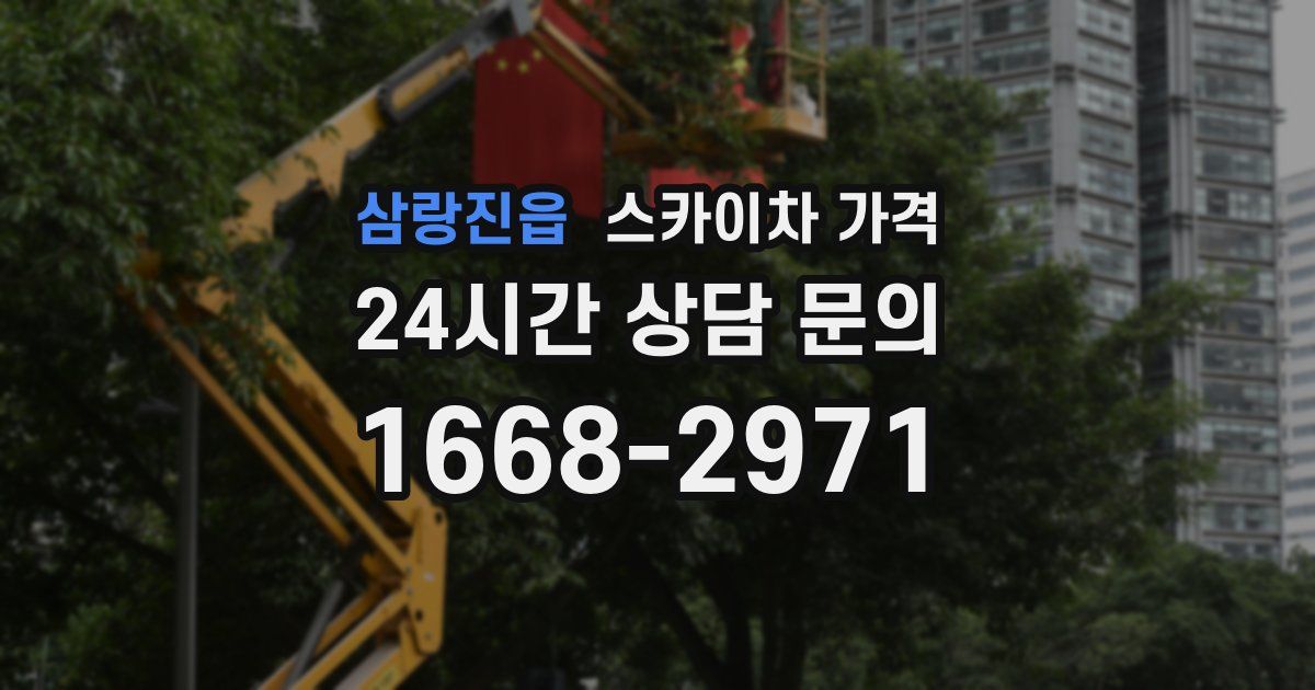 삼랑진읍 스카이차 가격