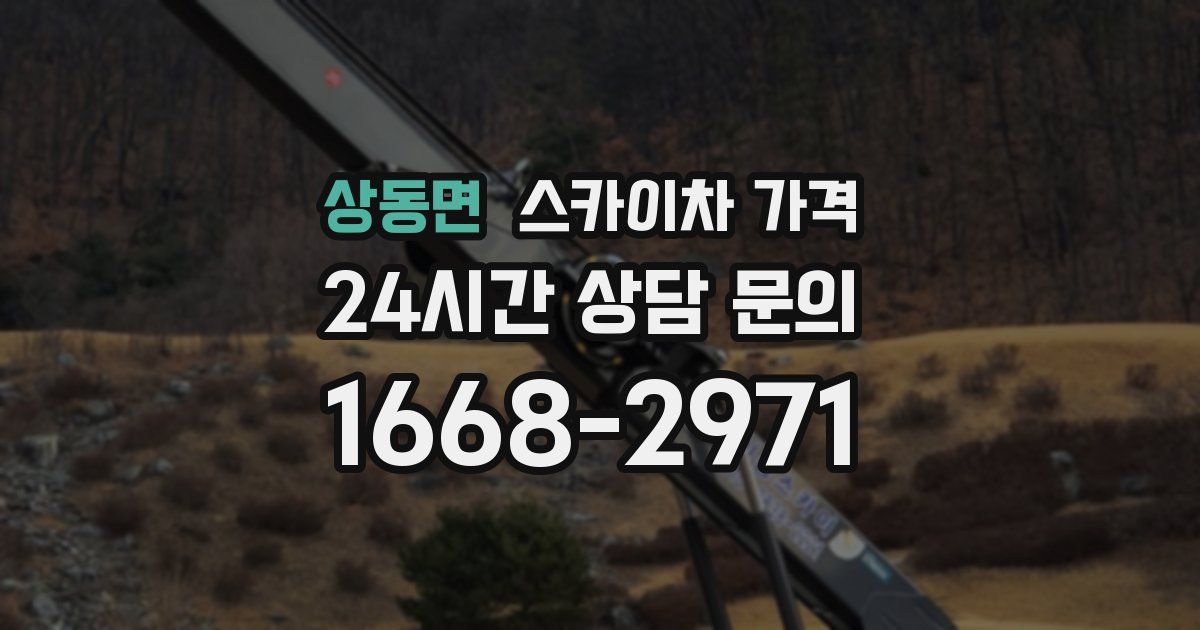 상동면 스카이차 가격