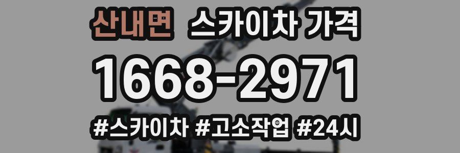 산내면 스카이차 가격