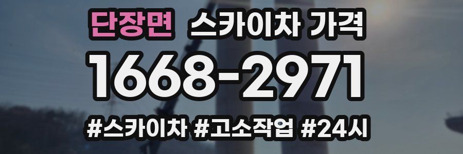 단장면 스카이차 가격