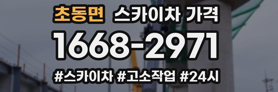 초동면 스카이차 가격