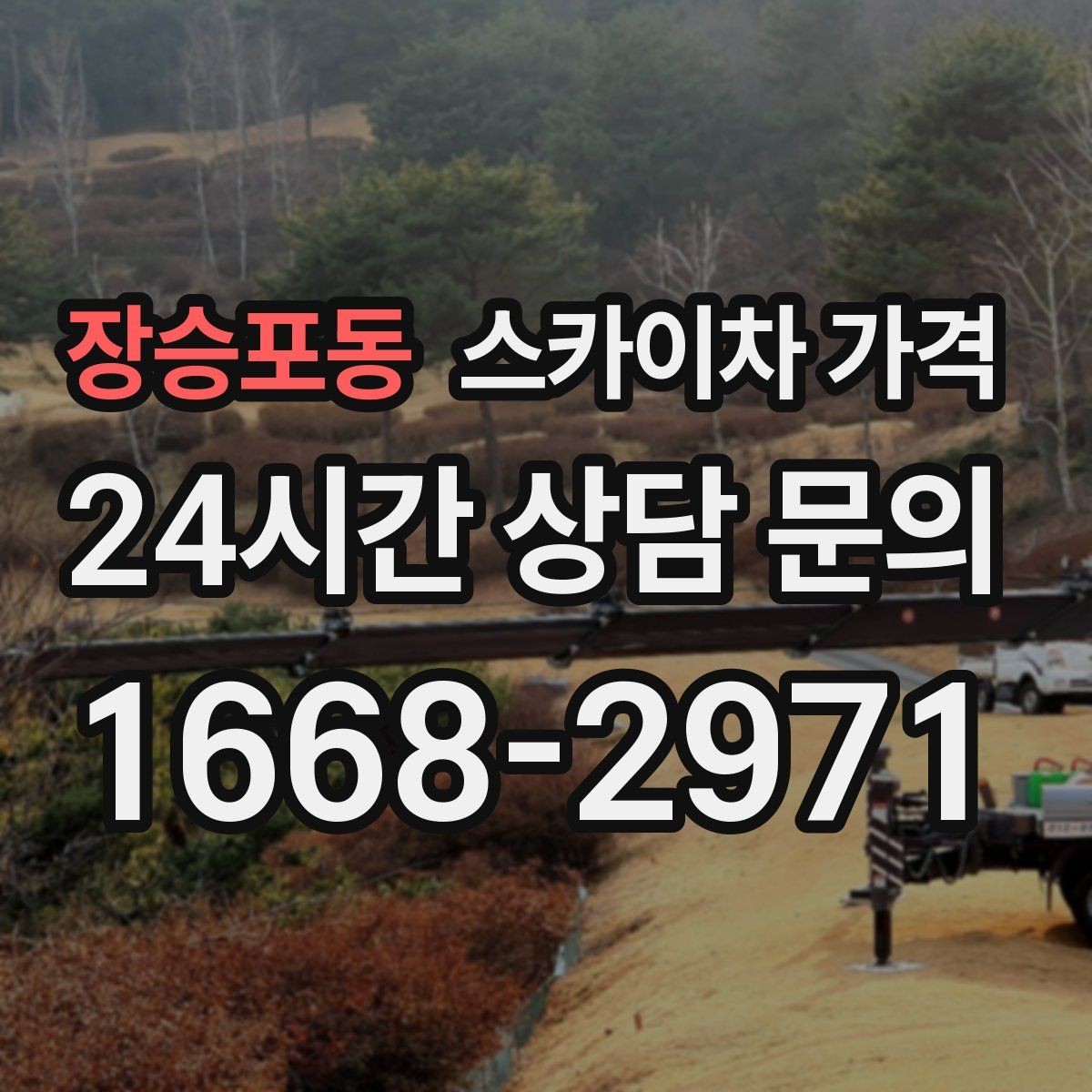장승포동 스카이차 가격 가로수·간판·전선이 동선을 막을 때