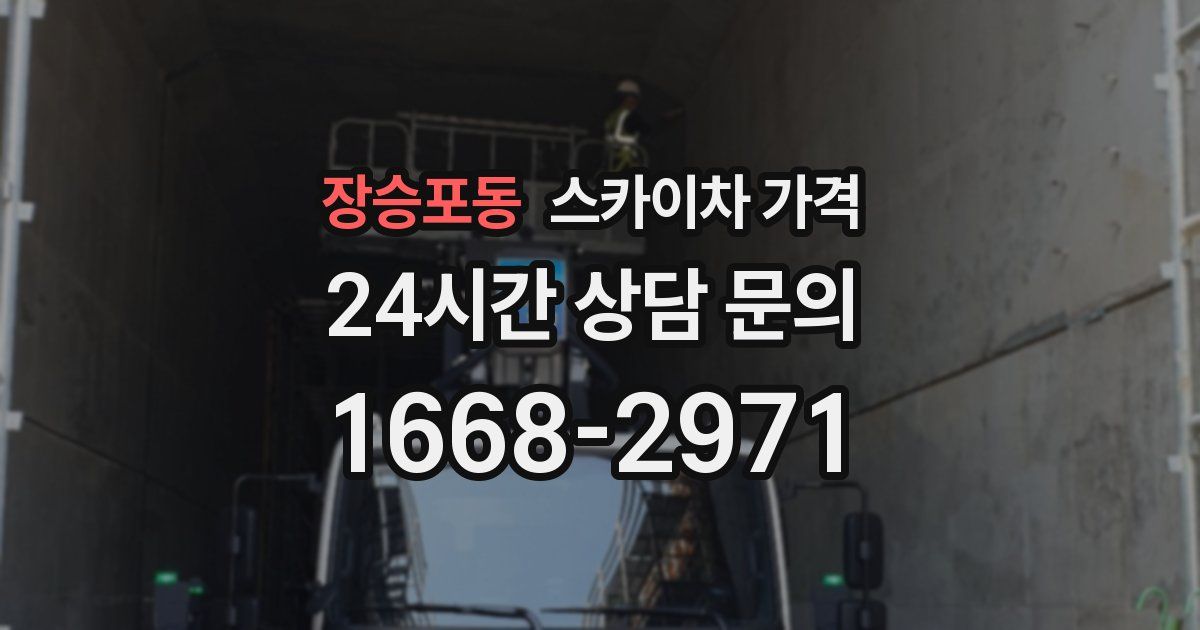 장승포동 스카이차 가격