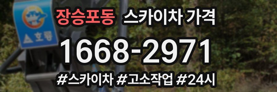 장승포동 스카이차 가격