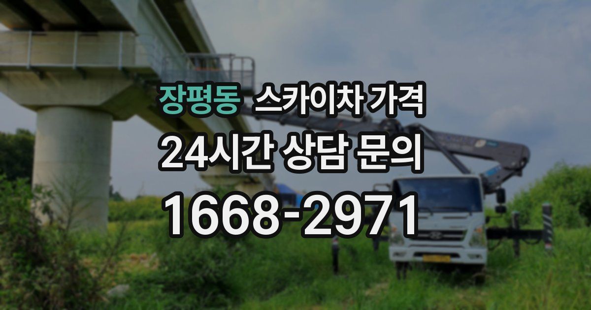 장평동 스카이차 가격