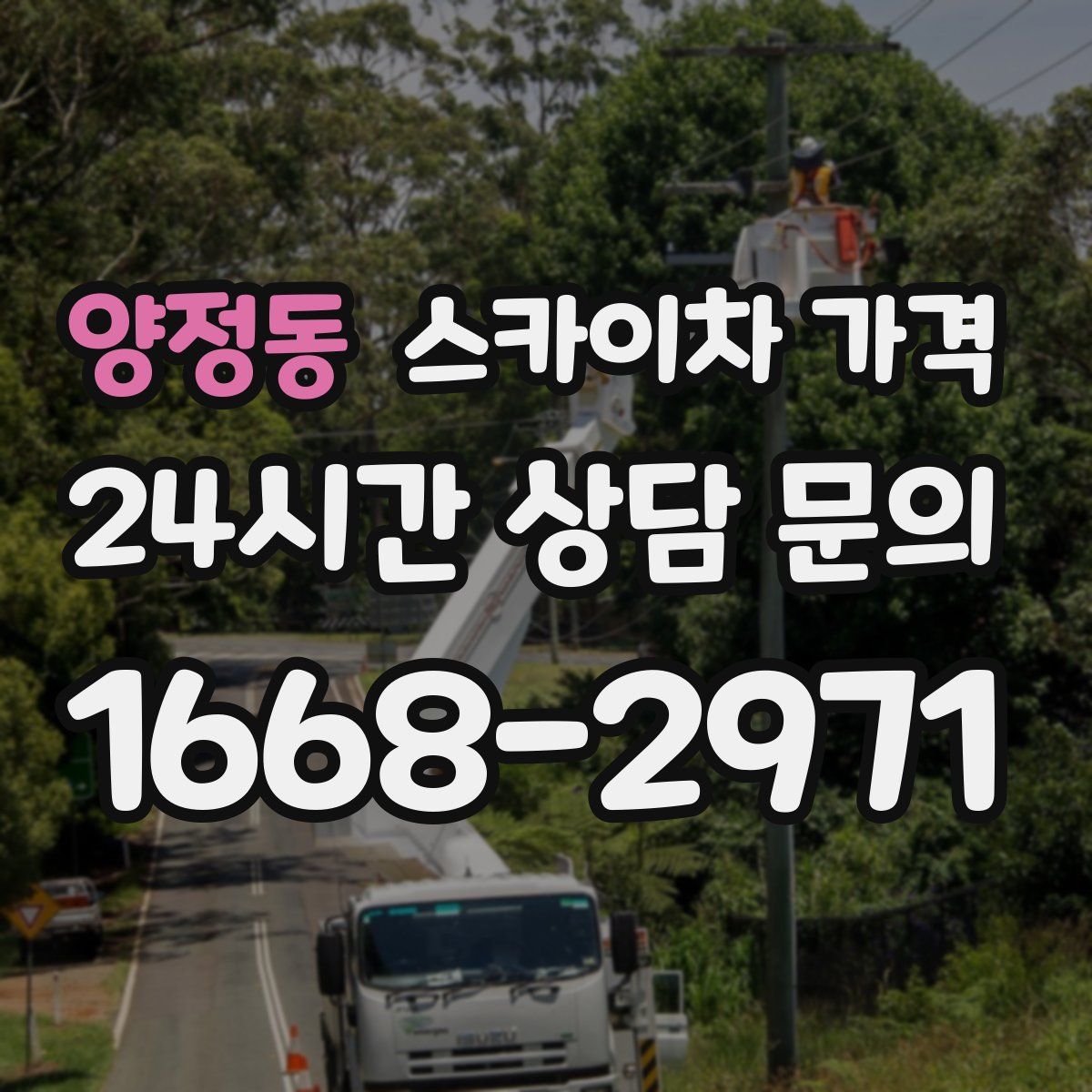 양정동 스카이차 가격