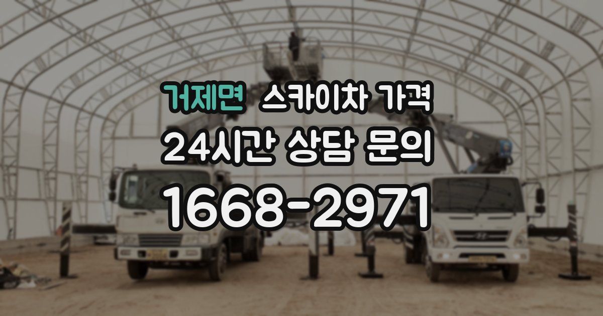 거제면 스카이차 가격