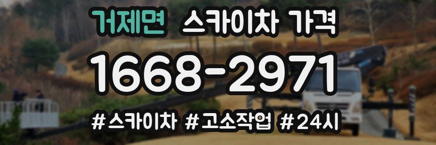 거제면 스카이차 가격