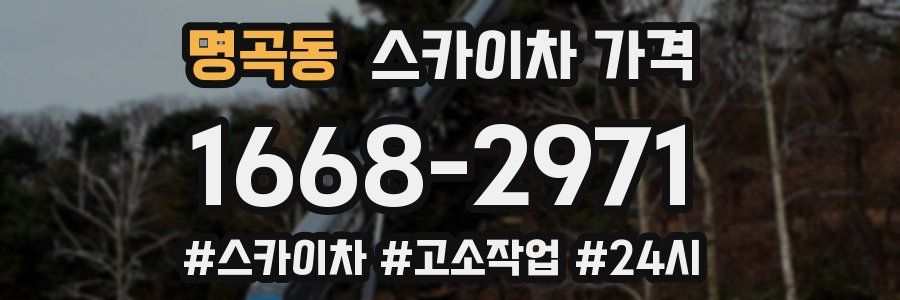 명곡동 스카이차 가격